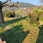 La Bottega Di Torreluca Todi