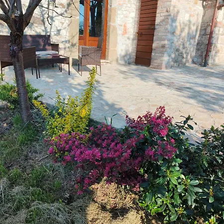 La Bottega Di Torreluca