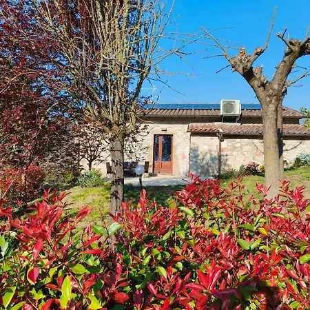 La Bottega Di Torreluca 別荘 トーディ