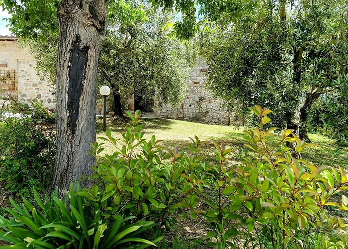 La Bottega Di Torreluca