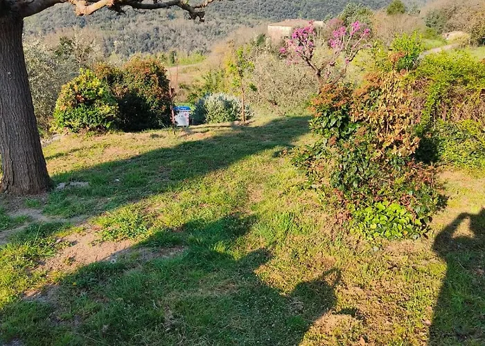 La Bottega Di Torreluca Todi